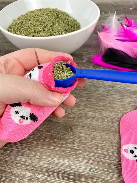 Homemade Catnip Toy - Easy DIY Toy for Cats - Koti Beth