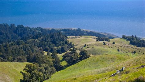 Kristel Balmet: Mount Tamalpais