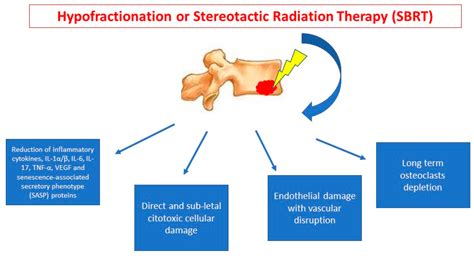 Cancers | Free Full-Text | Diagnosis and Treatment of Bone Metastases in Breast Cancer ...