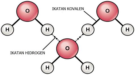 Contoh Ikatan Hidrogen dalam Kimia, Berikut Pengertiannya