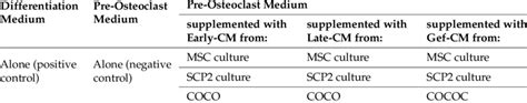 Assay condition of the osteoclastogenesis assay. | Download Table