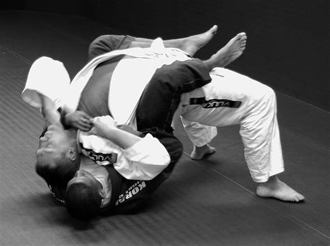 Judo Black Belt vs BJJ Black Belt: Differences and Similarities