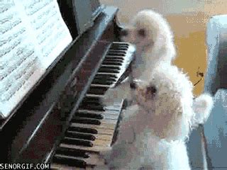 Anime Playing Piano GIFs - Find & Share on GIPHY