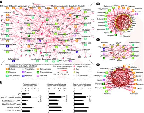 CEP interactions and MPCs underlie antibiotic susceptibility. (a) CEP ...