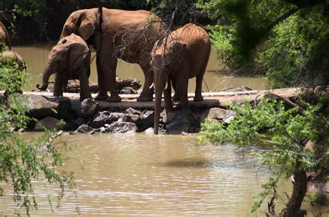 Location of Thakadu River Camp - Madikwe Game Reserve, Malaria-free