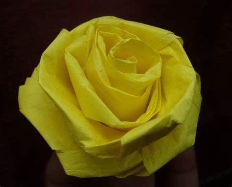 13 DIY Tissue Paper Roses | Guide Patterns