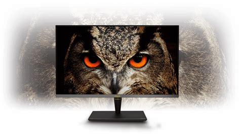 ProArt Display PA32UCX｜Monitors｜ASUS Global