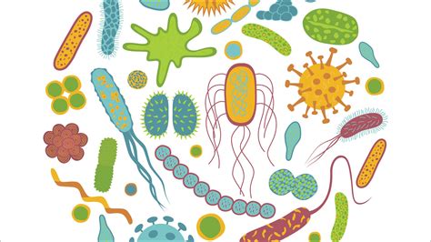 The Cancer Microbiome Atlas gives more clear picture of microbiota living in organs - Laboratory ...
