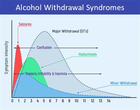 Quitting Alcohol Timeline and Body Repair – Fit Recovery