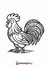 Simple Rooster Coloring Page Free PDF Printable sketch template
