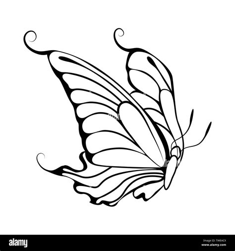 Sketch of Butterfly. Outline Design. Vector Illustration Stock Vector ...