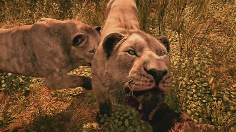 ANIMALS IN FAR CRY PRIMAL (Far Cry Primal Animal Fights PS4 Gameplay ...