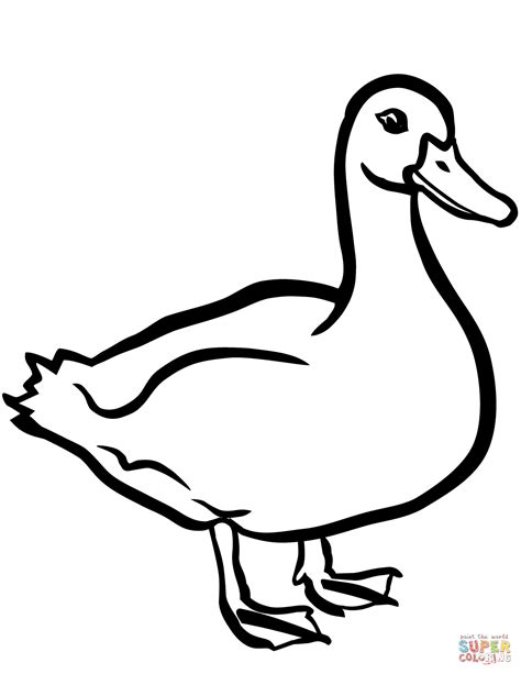 Duck coloring page | Free Printable Coloring Pages