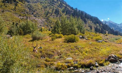 Sierra National Forest, California - AllTrips