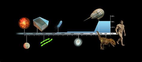 Evolution Of Earth Timeline Photograph by Mikkel Juul Jensen