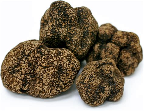 Asian Black Truffles Information and Facts