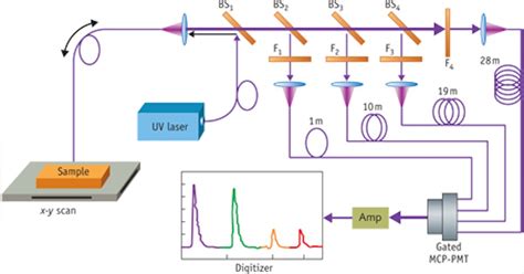 FLUORESCENCE SPECTROSCOPY/BIOMEDICAL IMAGING: Fluorescence 'lifetime ...