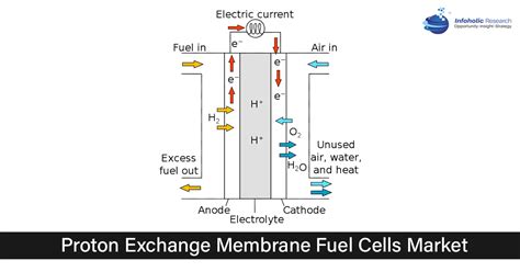 Proton Exchange Membrane Fuel Cells Market | Global Forecast up to 2027