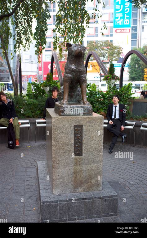 Bronze statue of Hachiko in front of train station of Shibuya, Tokyo ...