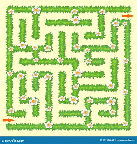 Maze For Kids Cartoon Vector | CartoonDealer.com #74404365