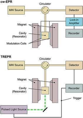 Frontiers | Structure–Function Relationship of Organic Semiconductors ...