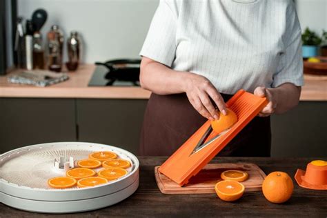 7 Essential Food Dehydrator Benefits