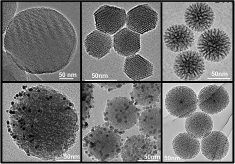 Research | Thebiotek