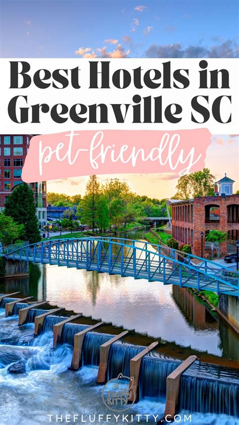 7 Best Pet-Friendly Hotels in Greenville SC - KittyCatz