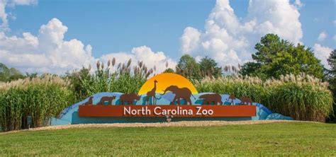 North Carolina Zoo Society on LinkedIn: 📣 Exciting news, everyone! 🦜 We ...