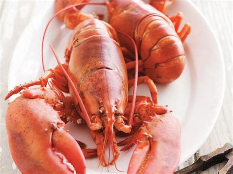 Marc Murphy Shares Hamptons Favorites, Lobster Pot Recipe | Lobster ...