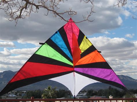 Rainbow Delta Kite single line Huge 108"x 55" FREE Line with handle & Carry Bag - Tumbleweeds ...