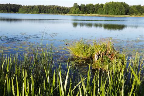 Lakes of Lithuania (11) | Rimantas Jankauskas | Flickr