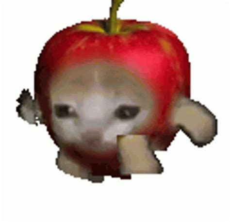 Sad Apple GIF - Sad Apple Cat - Discover & Share GIFs