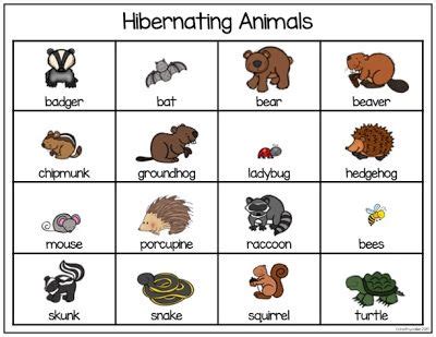 Books, Bears, and Bats: Teaching Resources for Hibernating Animals FREEBIE | Hibernation ...