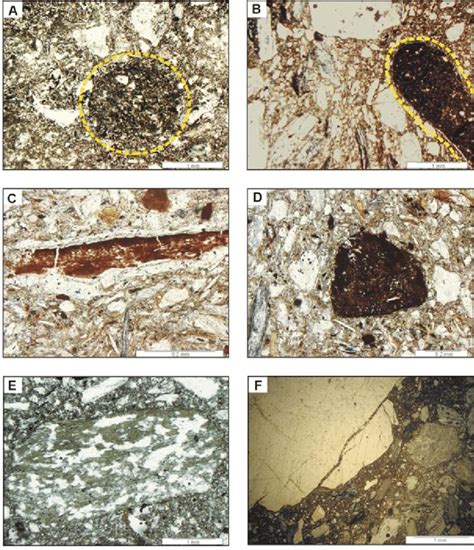 Other till elements: A – oval intraclast of older till (sample 6, ppl);... | Download Scientific ...