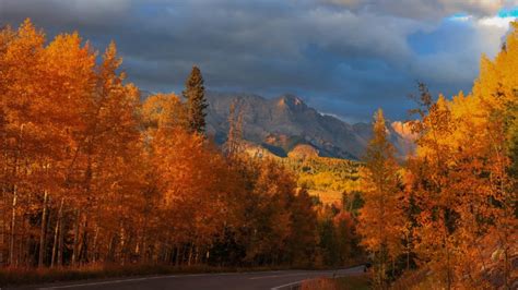 Planning a Fall Road Trip? These Routes Offer the Most Vibrant Fall Colors