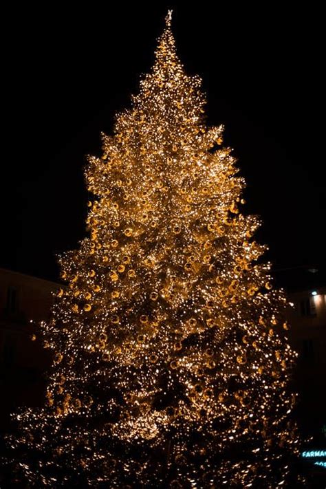 Yellow Christmas Tree Pictures, Photos, and Images for Facebook, Tumblr ...