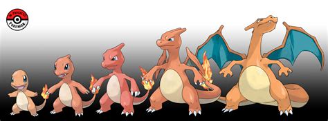 Pokemon Evolution Charmander