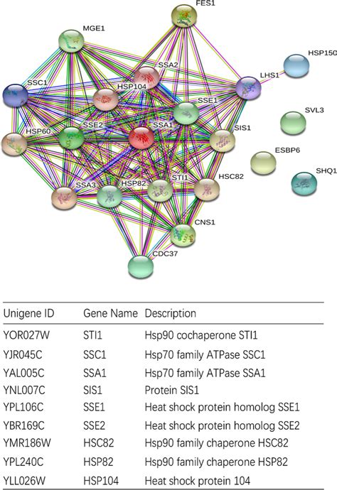 Protein-protein interaction network. Important protein interaction ...