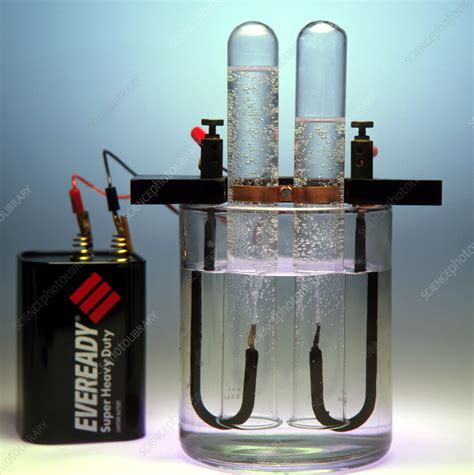 Electrolysis of water - Stock Image - A500/0247 - Science Photo Library