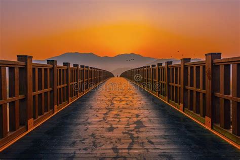 Wooden Bridge Sunrise Landscape at Suncheon Bay Korea Stock Image - Image of grass, dawn: 158002909