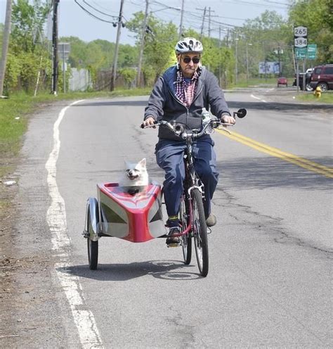 19 Dogs in Sidecars | Bicycle sidecar, Biking with dog, Sidecar