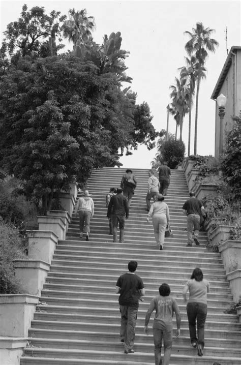 Echo Park Stairways | Echo park los angeles, Los angeles parks, Echo park