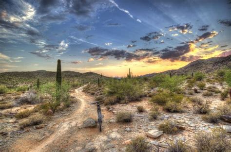 10 of the Best Hiking Trails in Phoenix, Arizona - Flavorverse