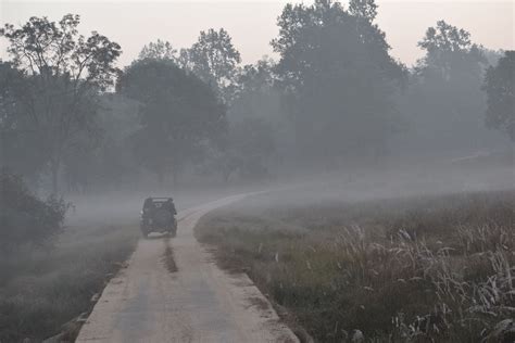 India – Kanha Kisli National Park - Wildlifesafaris Co