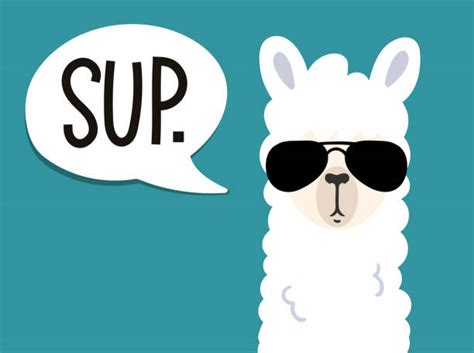 15,400+ Llama Stock Illustrations, Royalty-Free Vector Graphics & Clip Art - iStock