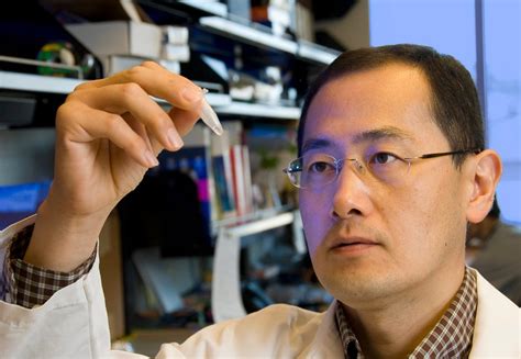 Japanese stem cell researcher wins 2012 Nobel in medicine