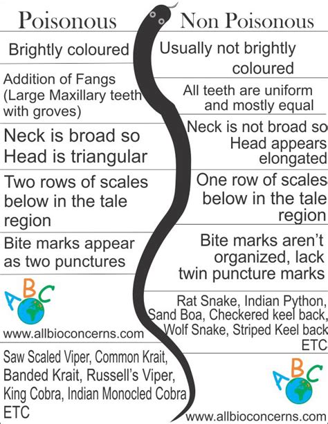 What Are The Differences Between Poisonous And Non Poisonous Snakes | Images and Photos finder