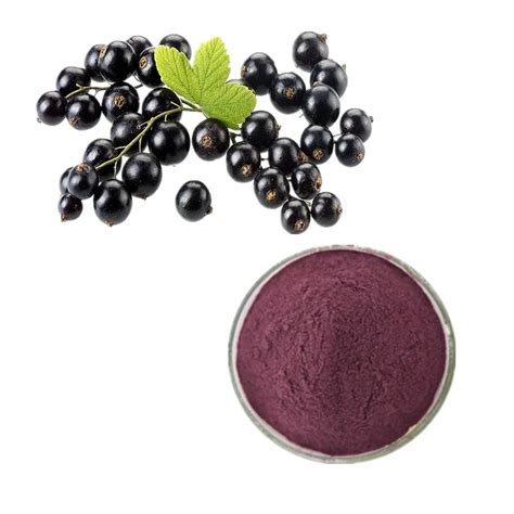 Factory Price Black Currant Juice Concentrate Flavor Ectract Powder ...