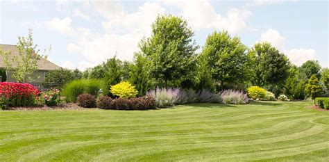 Lawn Seeding & Sodding – Schmalz Custom Landscaping & Garden Center, Inc.